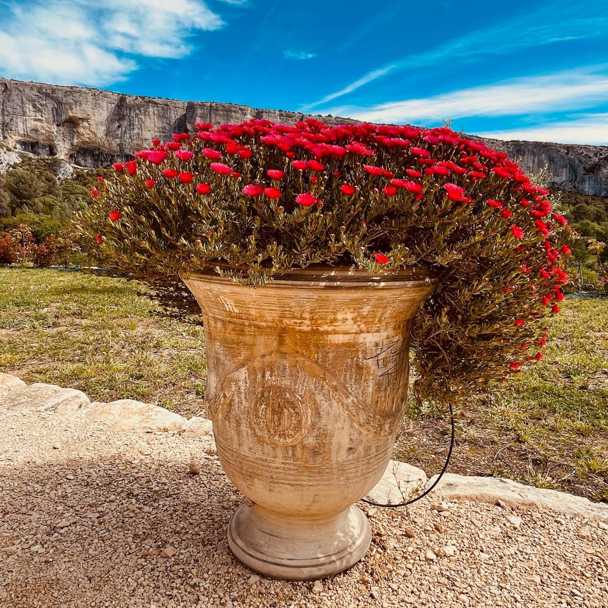 Gite La Madeleine Du Luberon. Lioux Eksteriør bilde